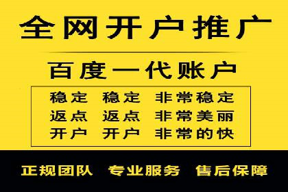百度竞价代理的客户案例：如何实现ROI最大化